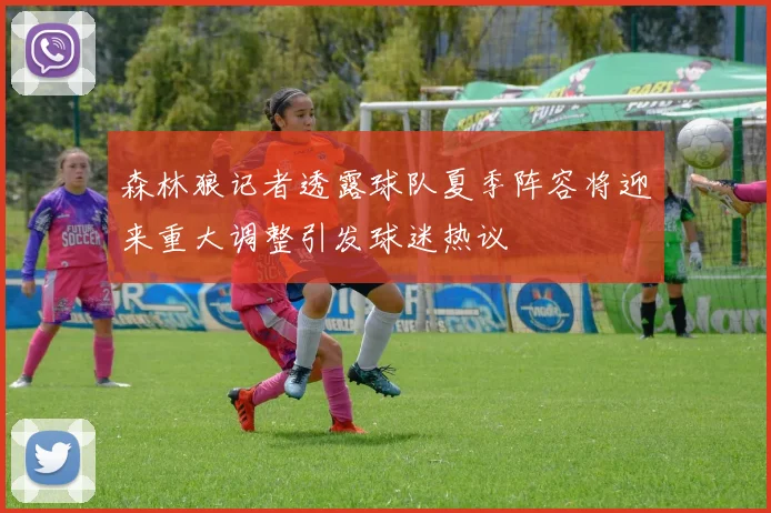 森林狼记者透露球队夏季阵容将迎来重大调整引发球迷热议