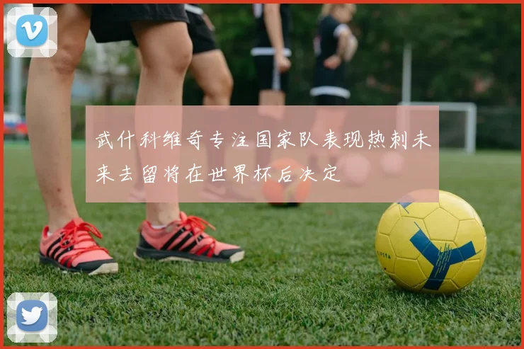 武什科维奇专注国家队表现热刺未来去留将在世界杯后决定